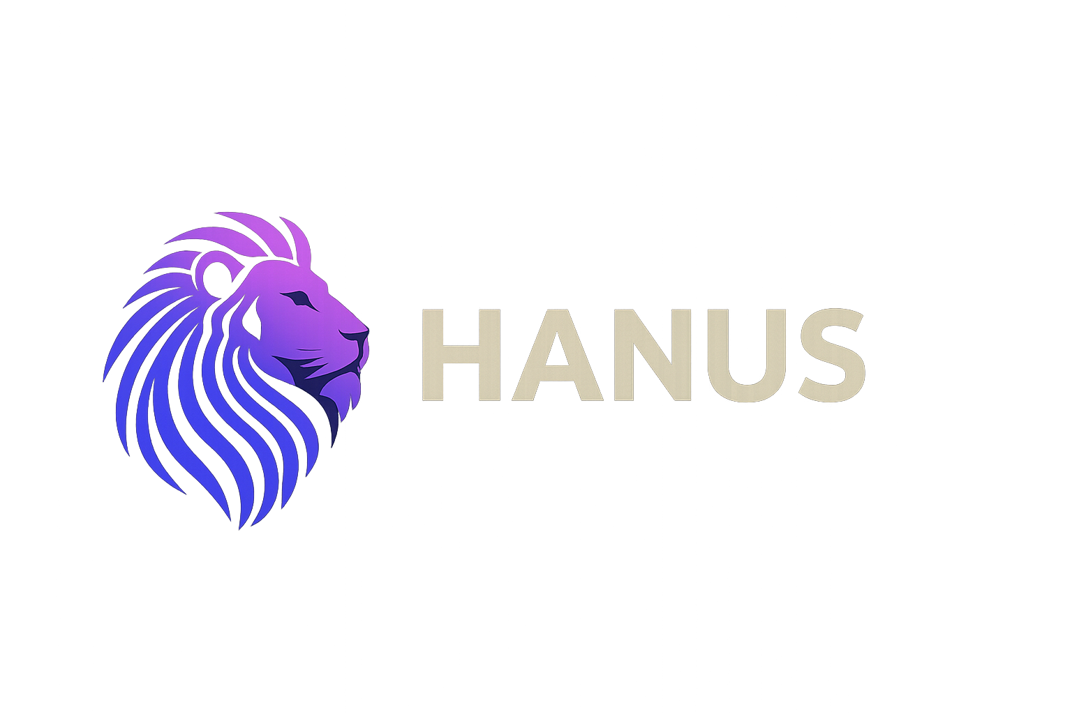 Hanus Tech Solutions